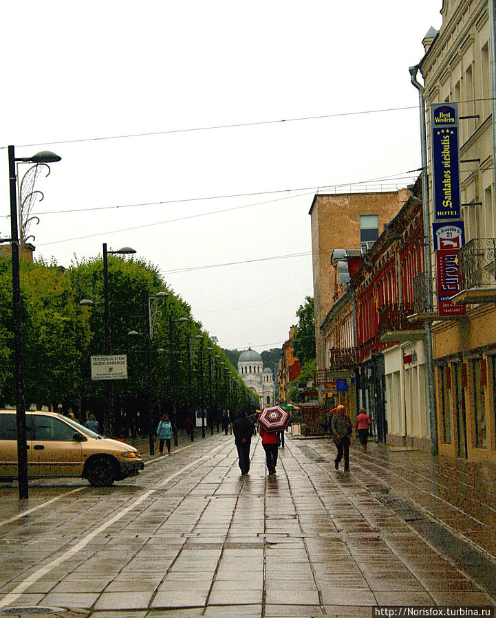 Unter den Linden по литовски