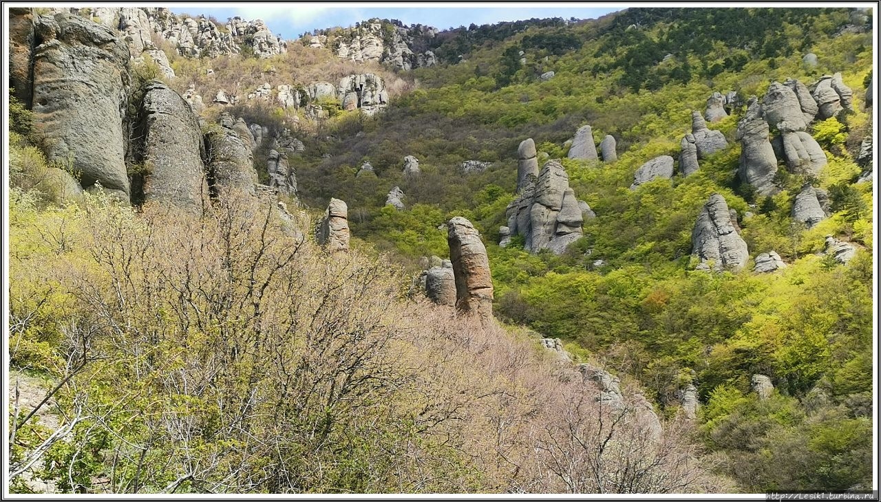 Похождения на Демерджи Лучистое, Россия