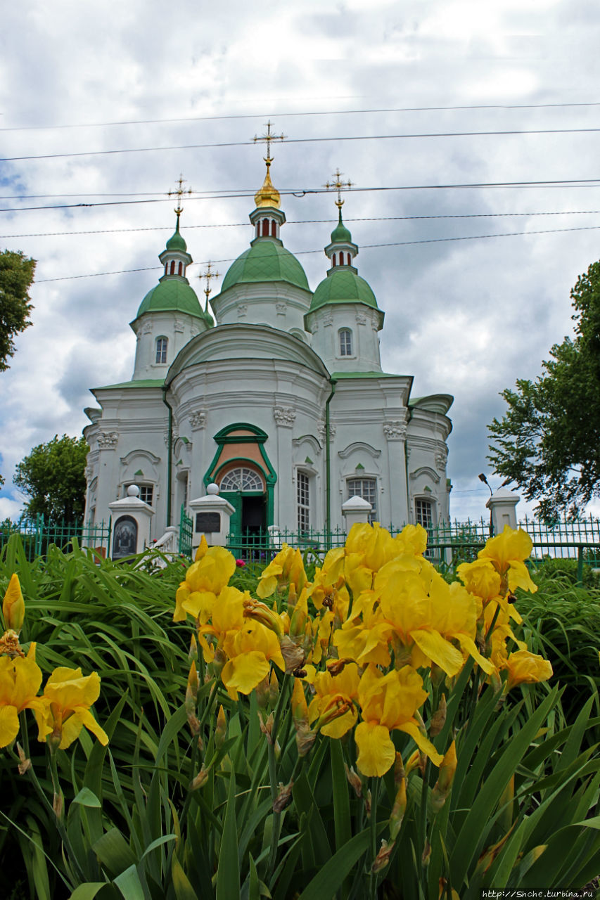 Собор Антония и Феодосия Васильков, Украина