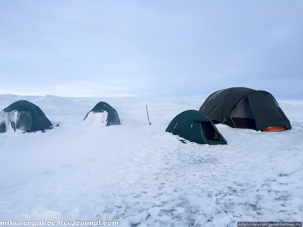Ледяной щит Гренландии
