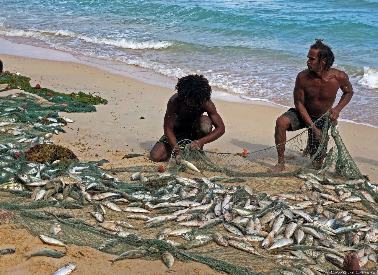 Пляж Бо-Валлон Бo-Валлон, Сейшельские острова Пляж Бо-Валлон Бo-Валлон, Сейшельские острова