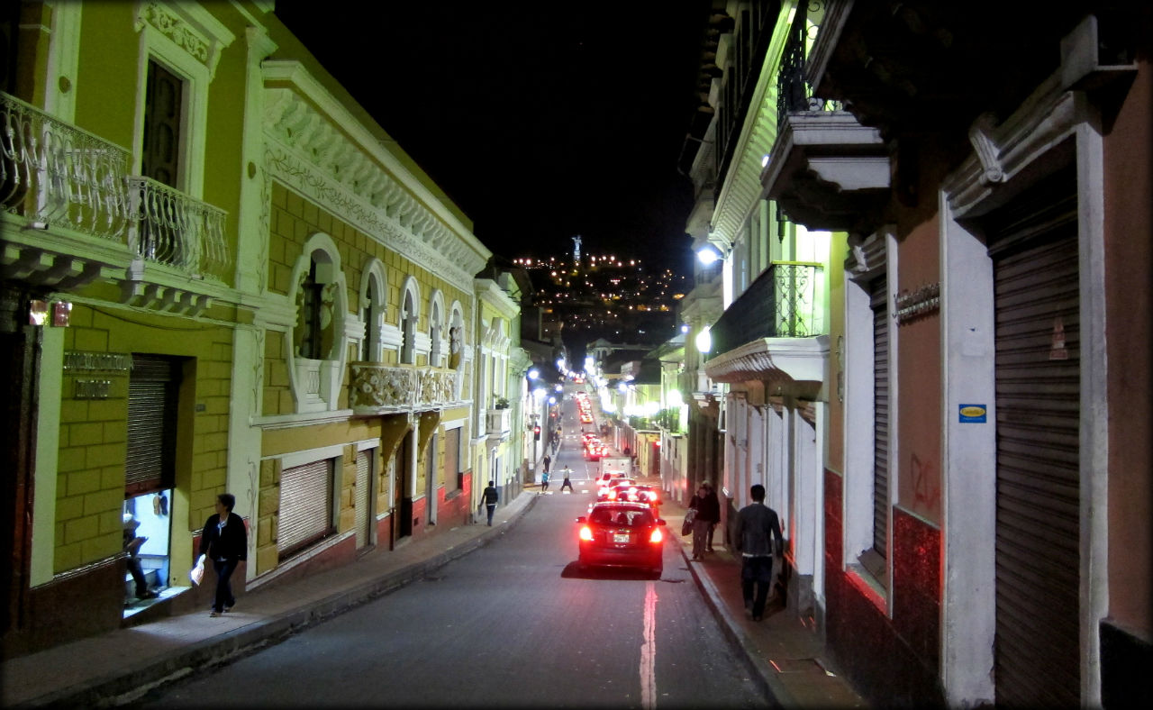Вечнозелёный Кито Кито, Эквадор