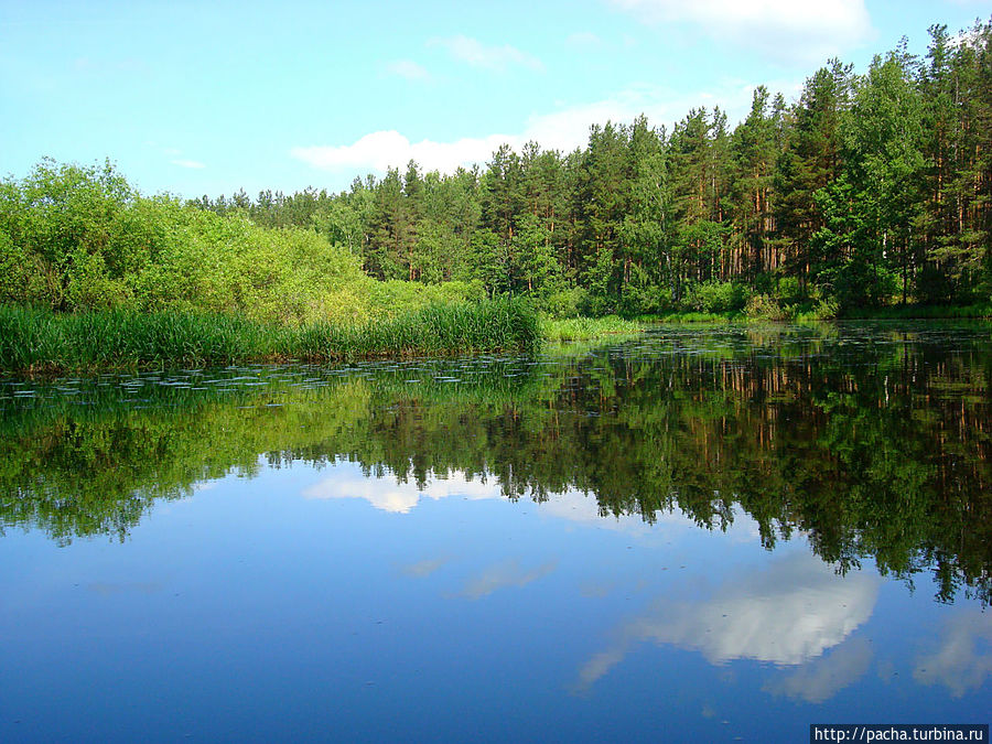 Беларусь фрагменты и зарисовки матушки природы Борисов, Беларусь