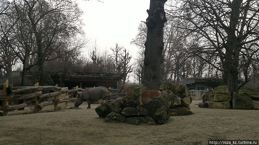 Венский зоопарк зимой Вена, Австрия