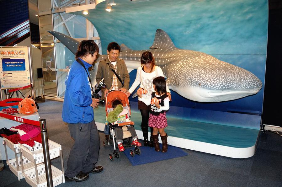 У входа постетителей встречает китовая акула Осака, Япония