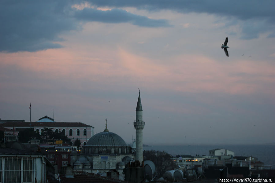 Мечеть Соколлу Мехмет Паша в начале вечера. Стамбул, Турция