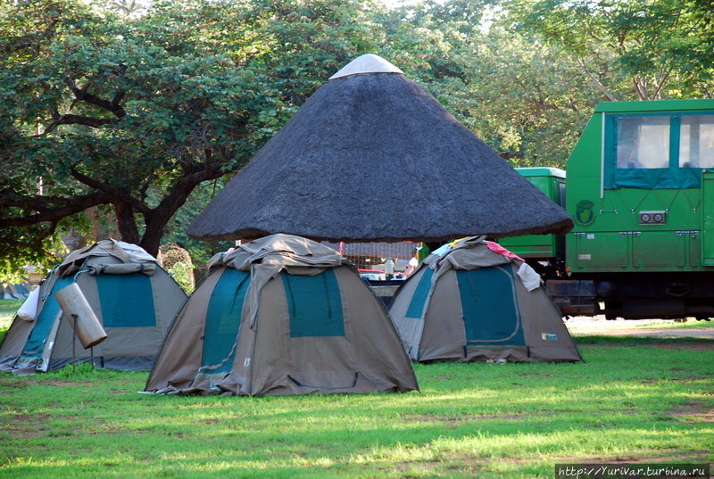 Наши палатки в кемпинге Eureka Camping Park and Chalets Саус-Луангва Национальный Парк, Замбия
