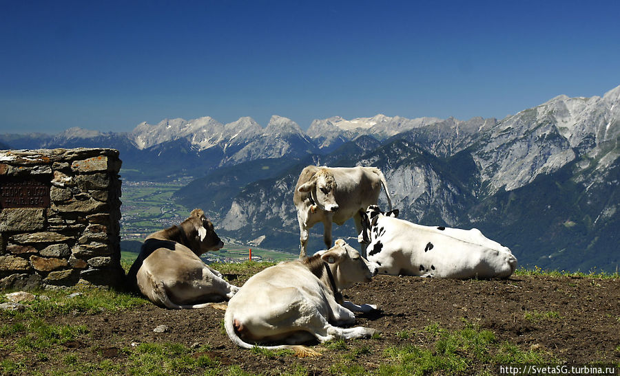 Летний день в горнолыжном Иглсе Иглс, Австрия