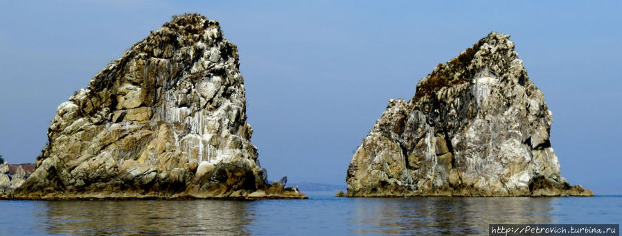 «Поющие» сосны и лазурное море в Морском заповеднике Дальневосточный Морской Биосферный Заповедник, Россия