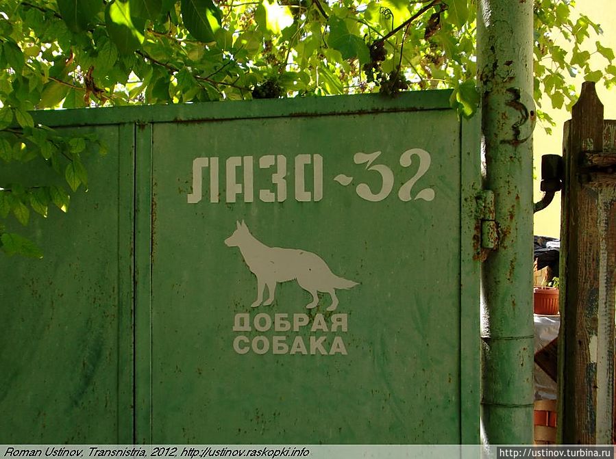 добрая собака Приднестровская Молдавская Республика