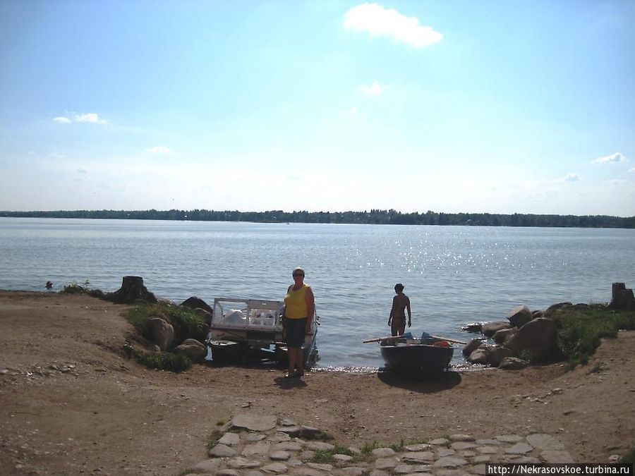 31 июля 2012 года — был достаточно жаркий день и неудержимо тянуло к водам Сиверского озера. Кириллов, Россия