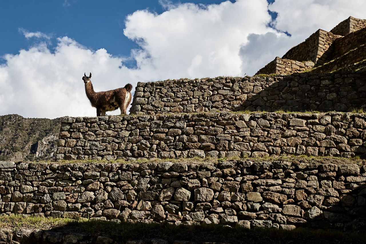 Мастер-класс на Кипре — день третий Лимассол, Кипр