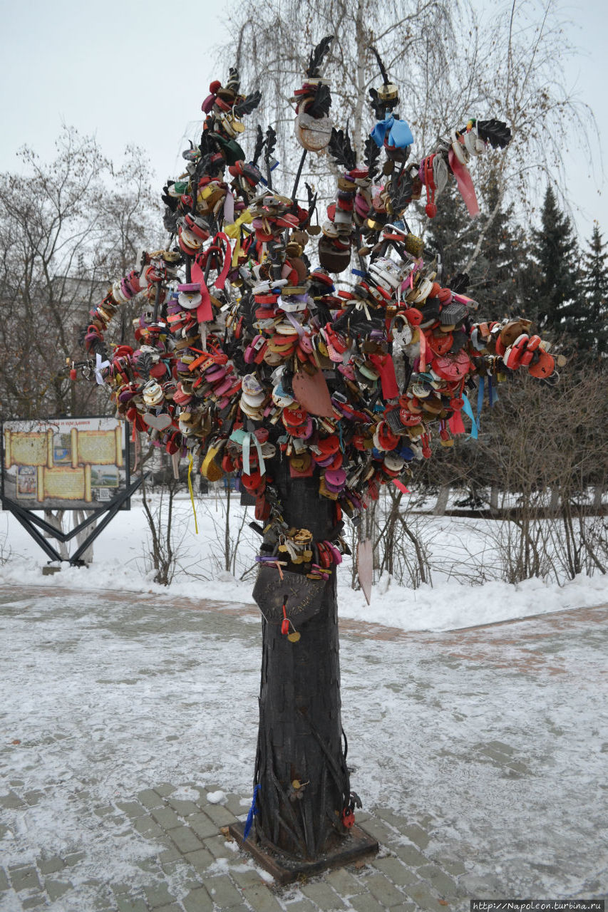 На Свадебной площади Дзержинск, Россия