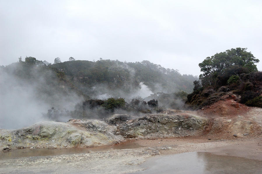 Долина гейзеров Вакареварева Роторуа, Новая Зеландия