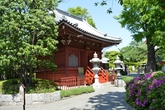 Yakushido Hall — одно из старейших строений храмового комплекса, построенное в 1649 году Токугавой Иэмитсу.