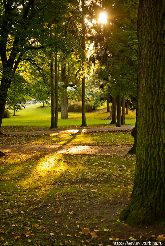 Бабье лето в парке Кронвальда. Рига Рига, Латвия
