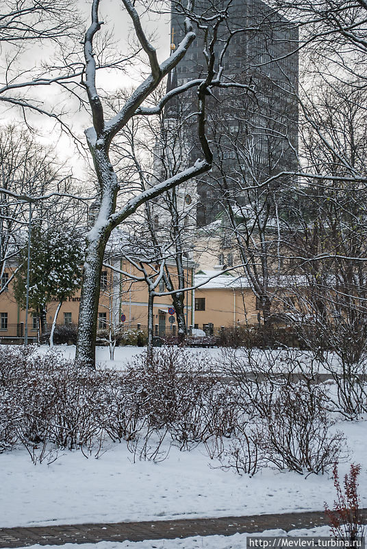Зимний парк Кронвальда. Рига Рига, Латвия