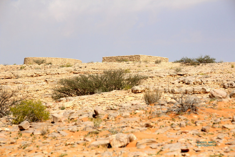 Бидаа-Бинд-Сауд зона раскопок / Bidaa Bint Saud archeologic area