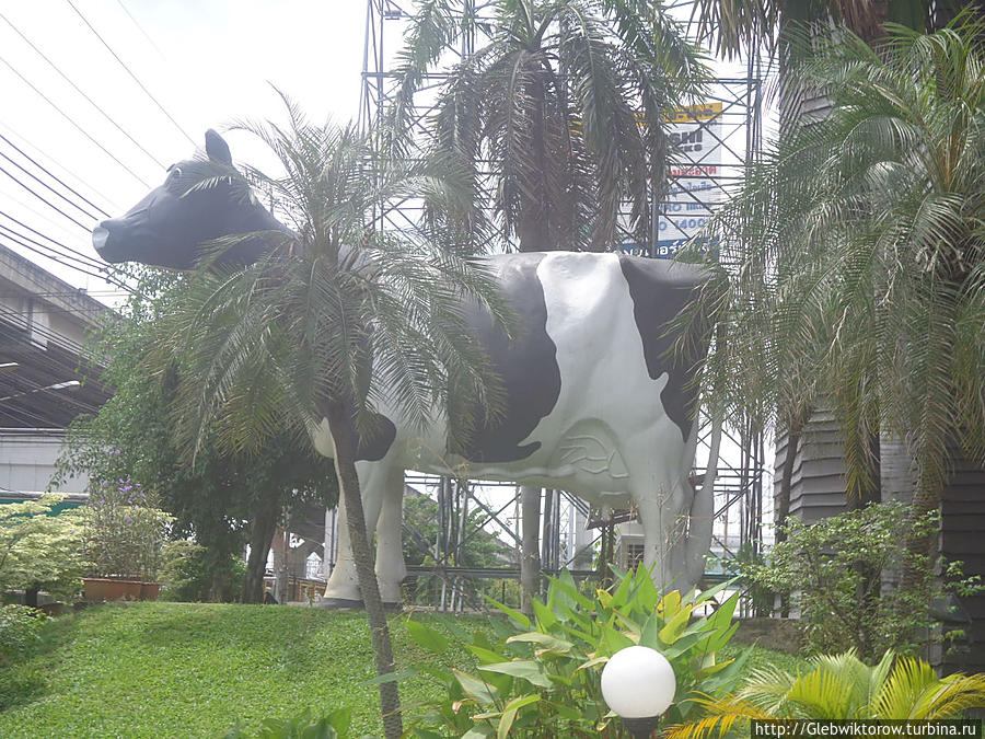 Районы Рангсит и Чианграк Бангкок, Таиланд