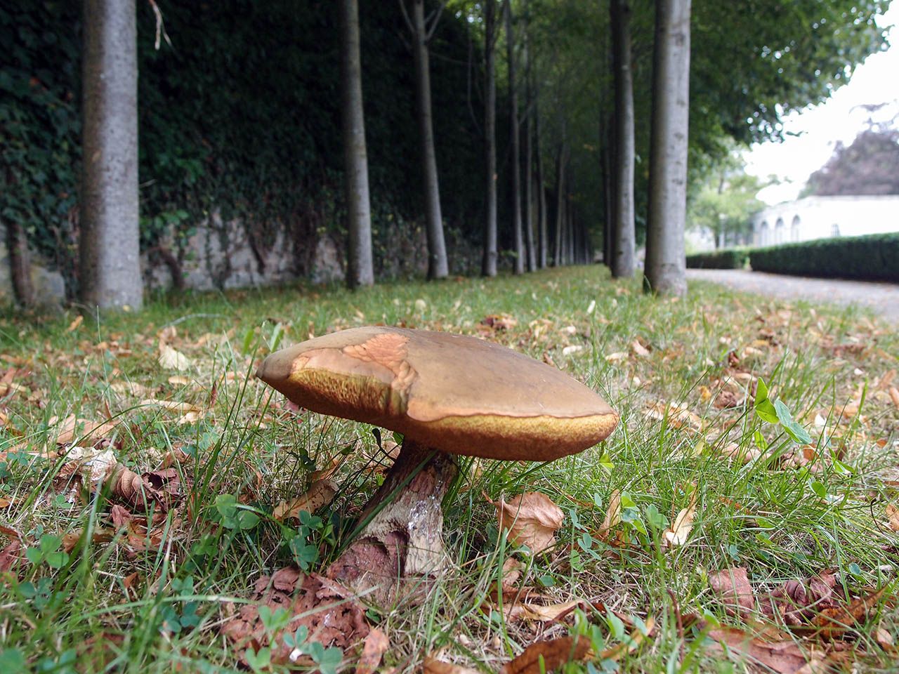 Поместье в долине Руйон Анневуа-Руйон, Бельгия