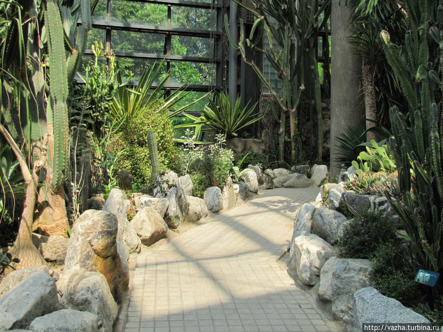 Зоопарк Сеула. Третья часть. Сеул, Республика Корея