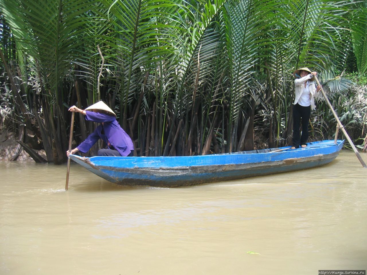 Дельта реки  Меконг. Речная протока Дельта реки Меконг, Вьетнам