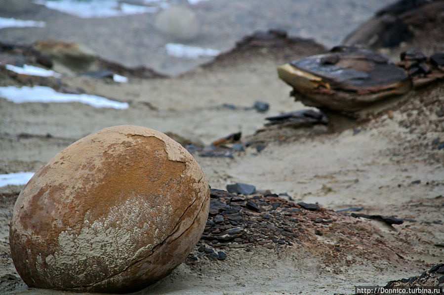 Сферолиты острова Чамп — загадка планеты