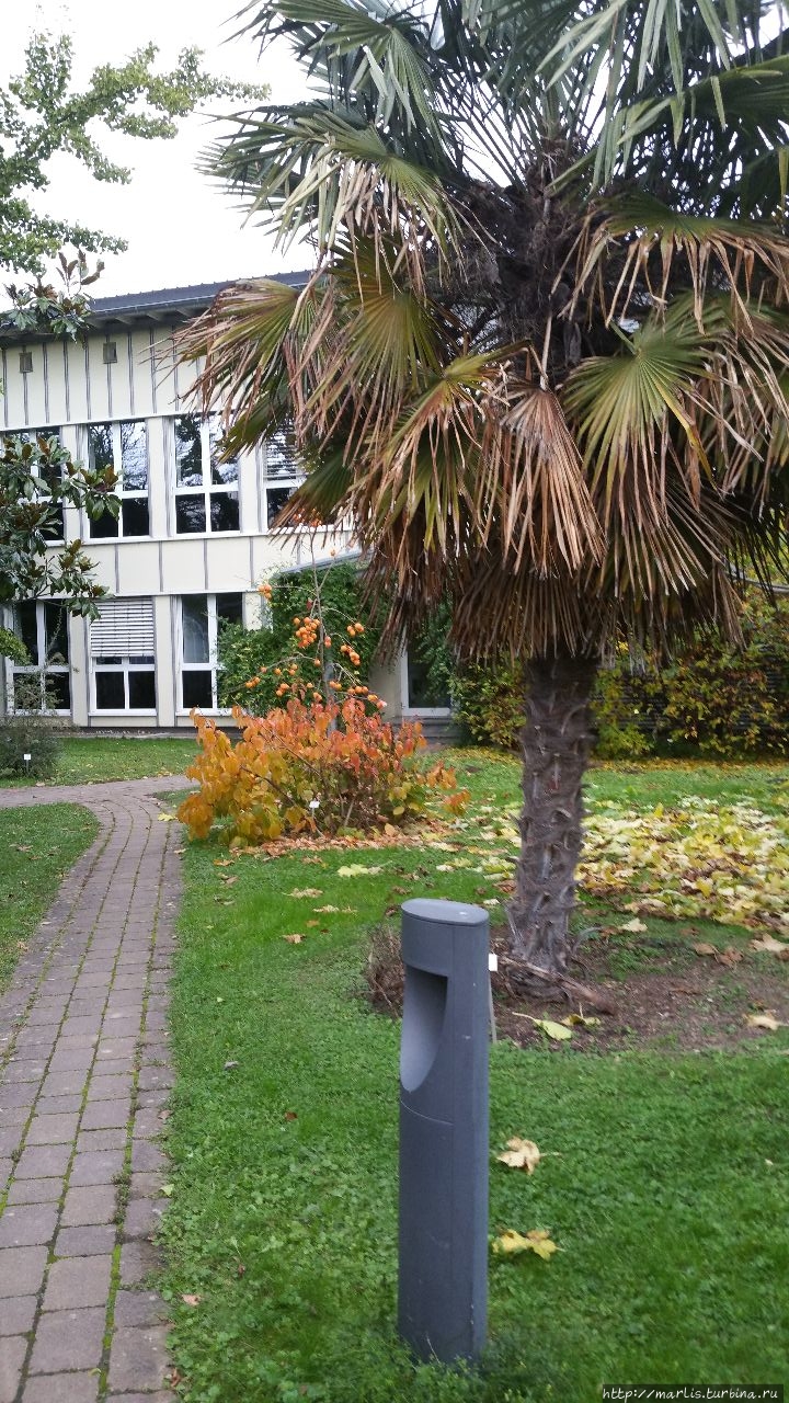 Университетский Ботанический сад Майнц, Германия