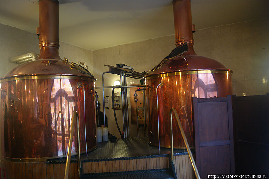 Сколько сортов чешского пива?