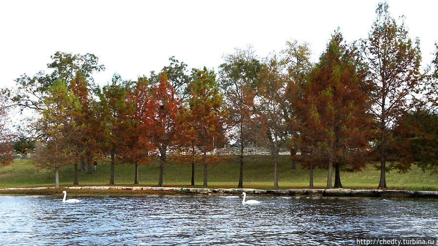 Осеннее озеро (модерато ассаи) Остин, CША