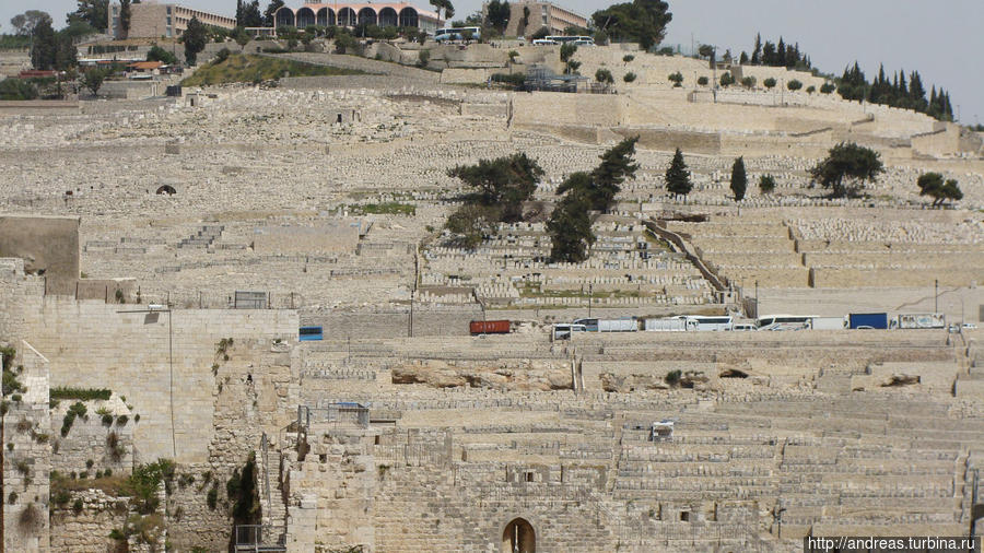 Еврейское кладбище на склоне Масличной горы Израиль