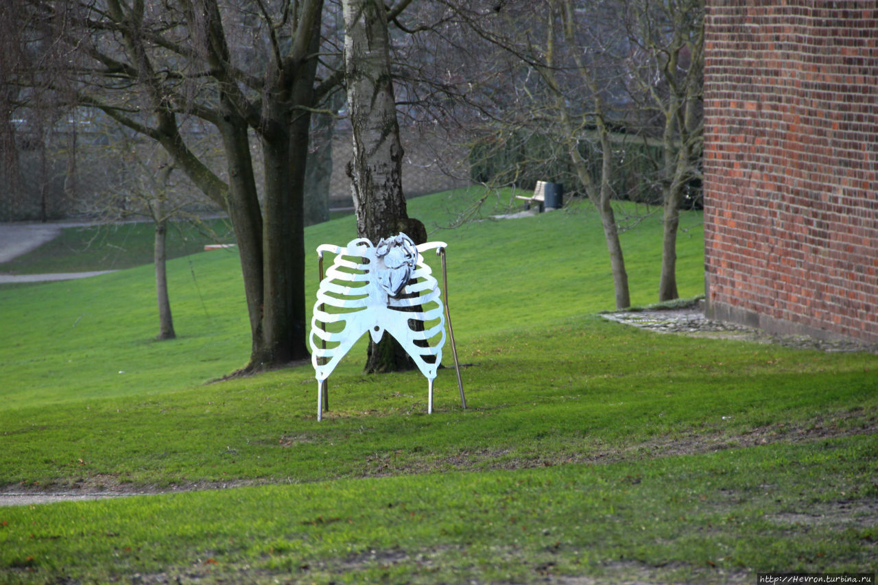 Прогулка по Оденсе Оденсе, Дания