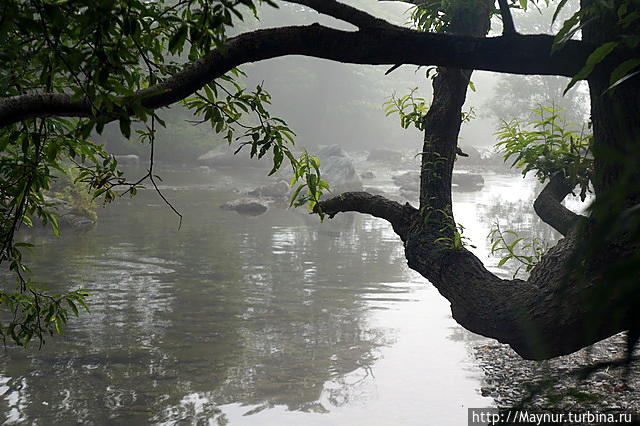 Красивая     речка     с    красивым    названием       Анна Анна (река), Россия