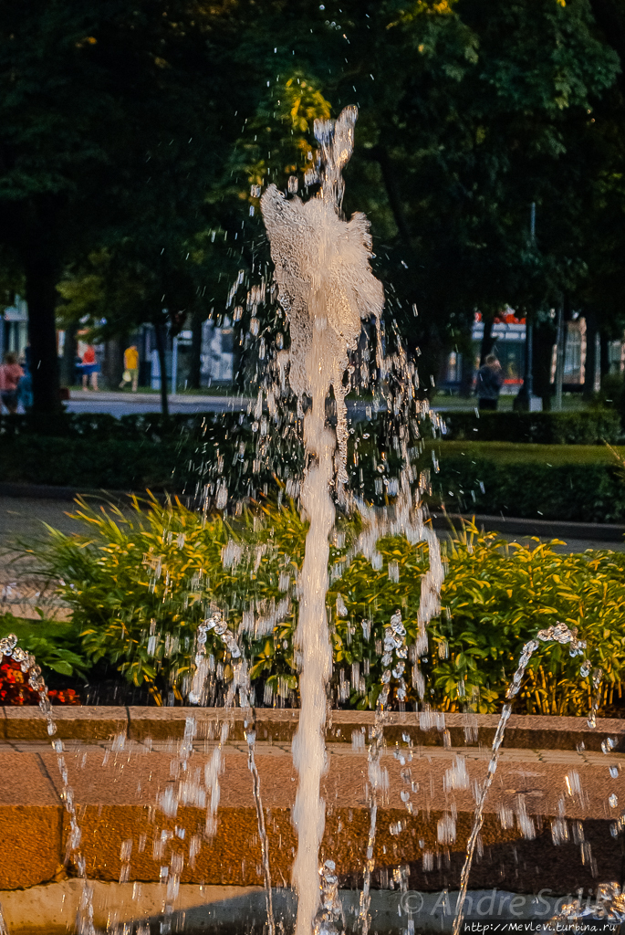 В закатном солнце Рига, Латвия