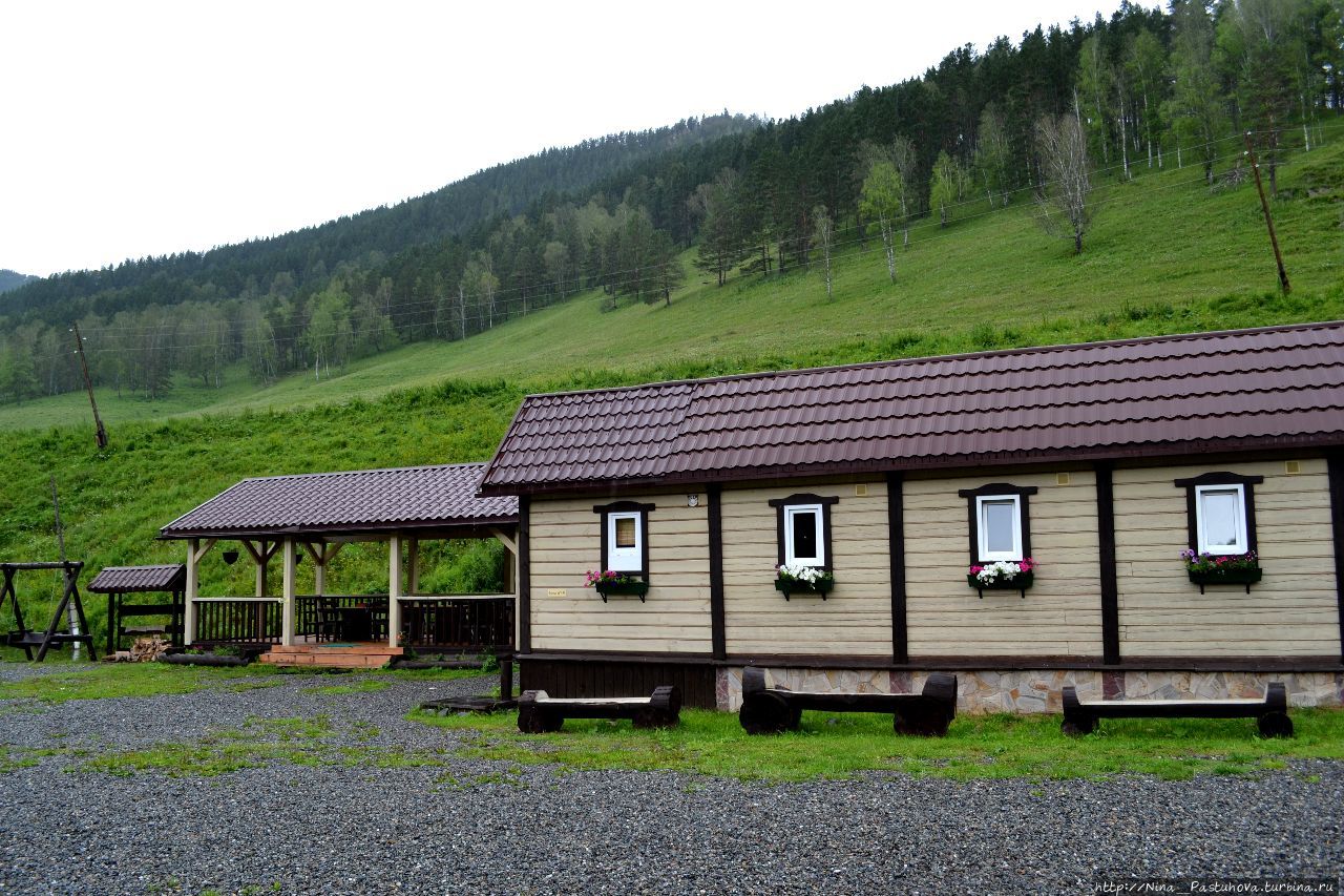 Сила пантов косметика. Карым отзывы. Конные пробеги. Мараловодческое хозяйство алтай. Карым отзывы.