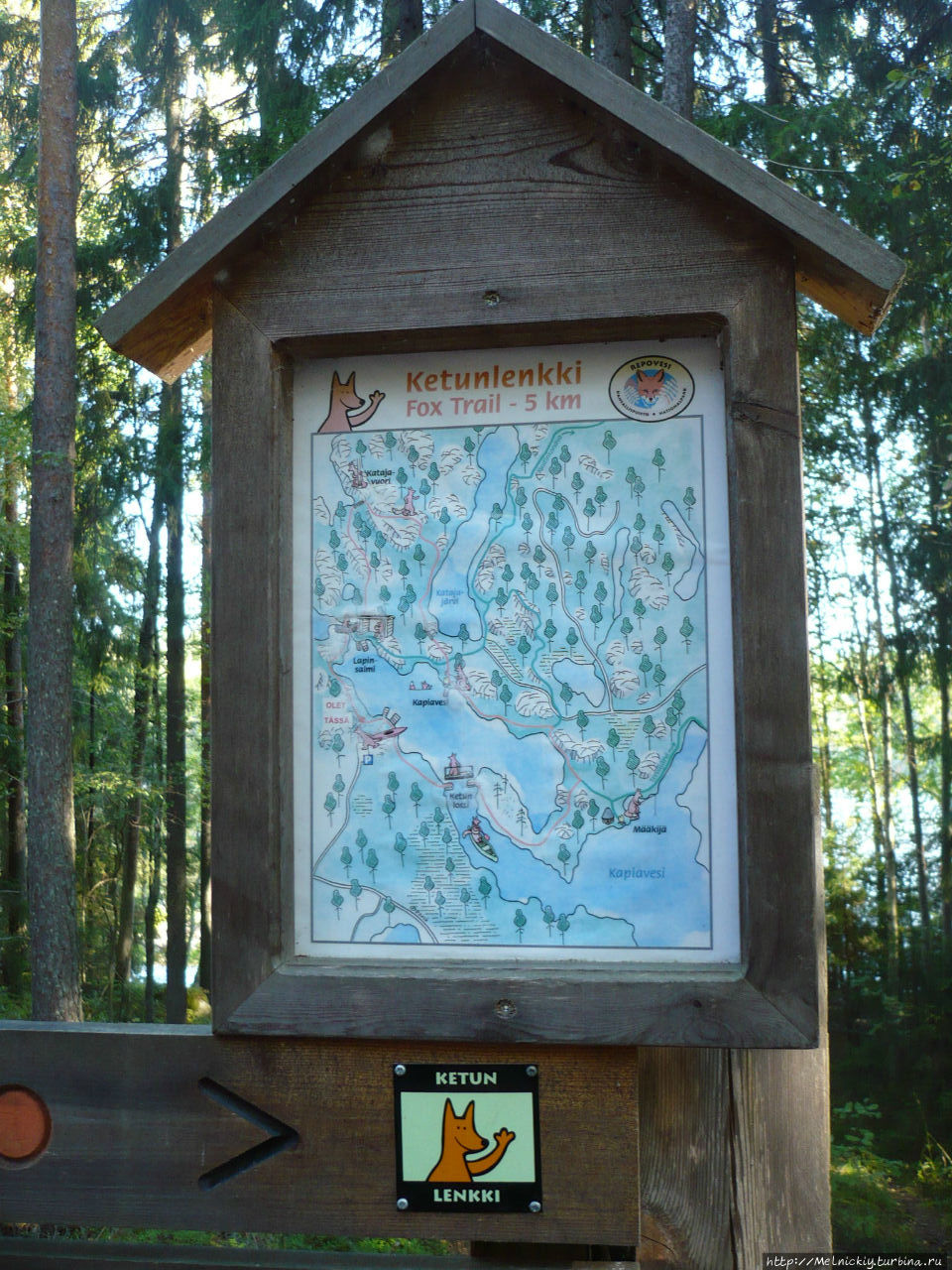 Небольшая прогулка по Лисьей тропе Реповеси Национальный Парк, Финляндия