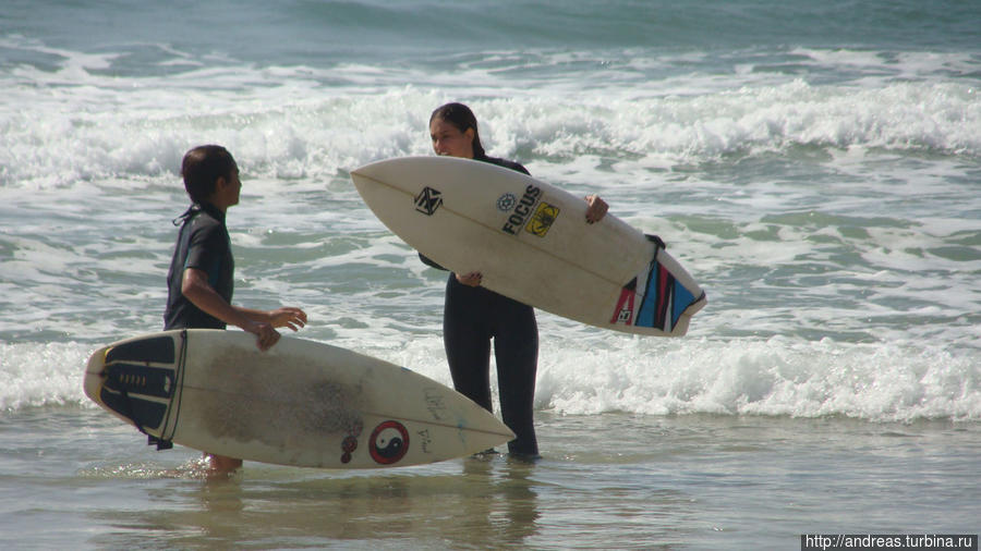 Сёрфингисты Израиль