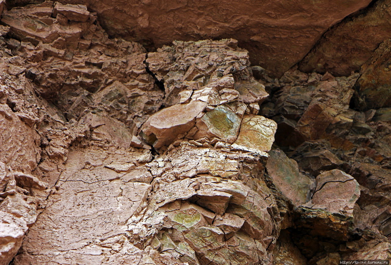 Скалы Джоггинс - прогулка в поисках ископаемых реликтов