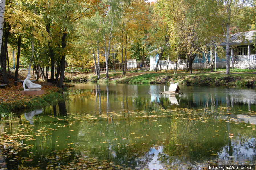 Черемшаны. Живая и мёртвая вода Черемшаны, Россия