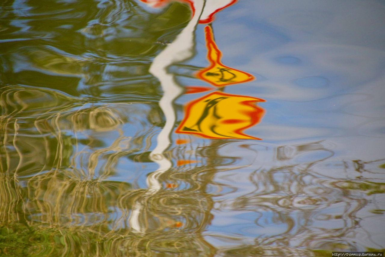 Наконец, путь открыт и мы видим как к строителю подплывает какое-то речное существо, большая похожая на акулу рыба, но так как акул здесь не водится будем считать что это щука или сом...