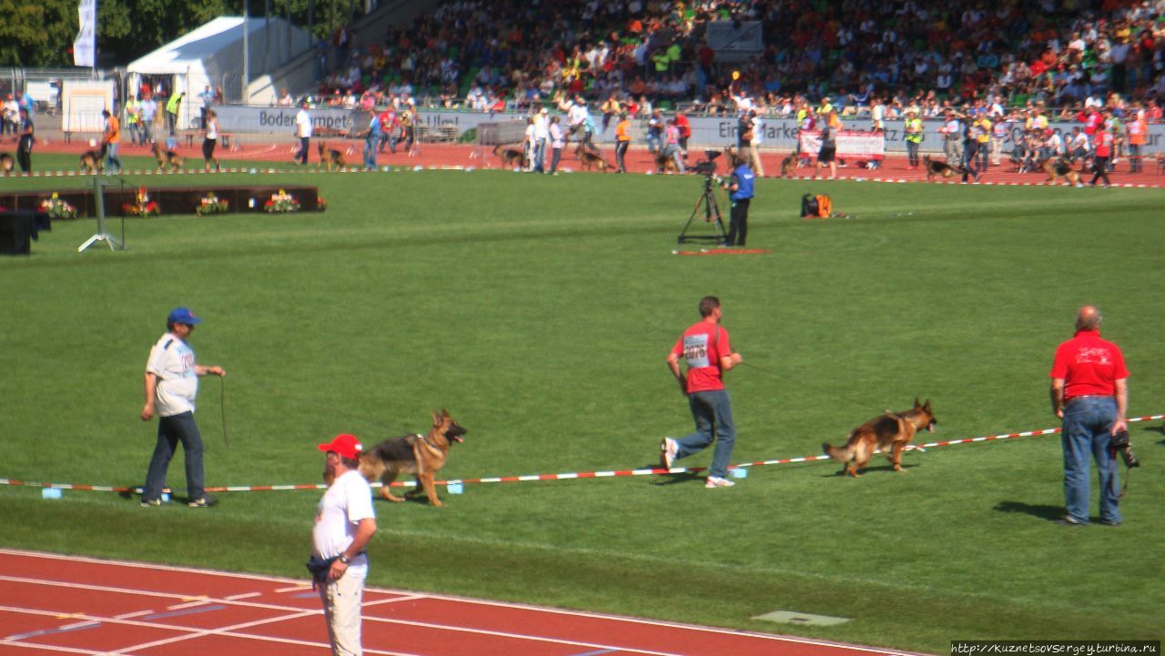 Зигер в Ульме Ульм, Германия