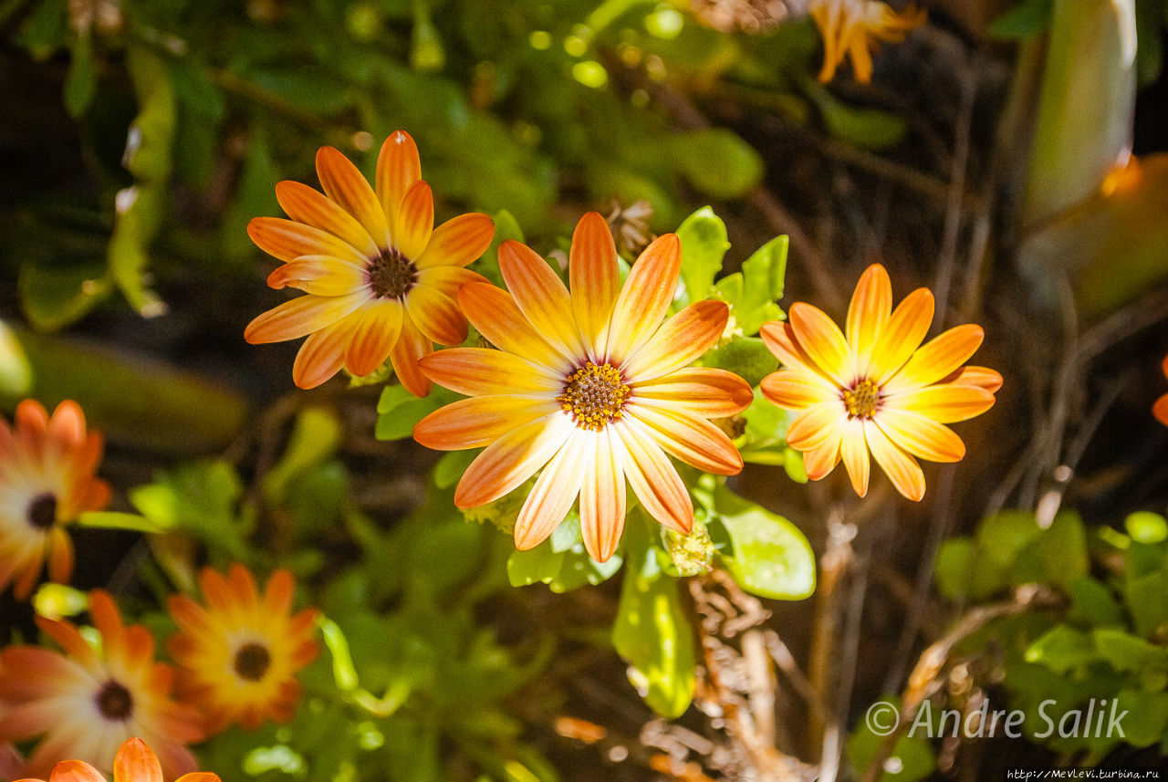 В мае на юге Барселона, Испания