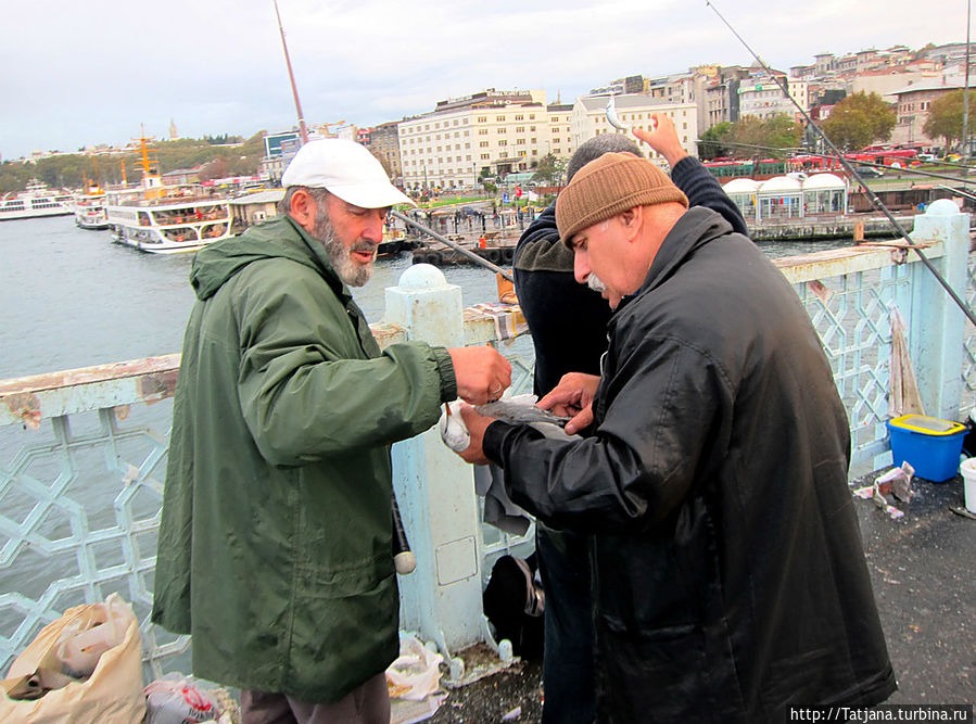 Быстрые зарисовки в Стамбуле Стамбул, Турция