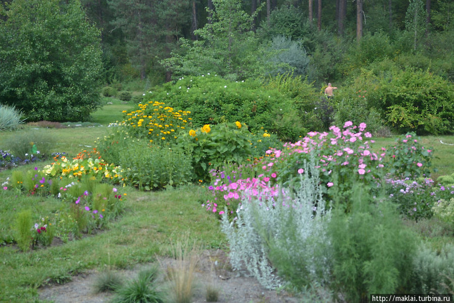 Приют спокойствия и уединения. Ботанический сад в Камлаке Камлак, Россия