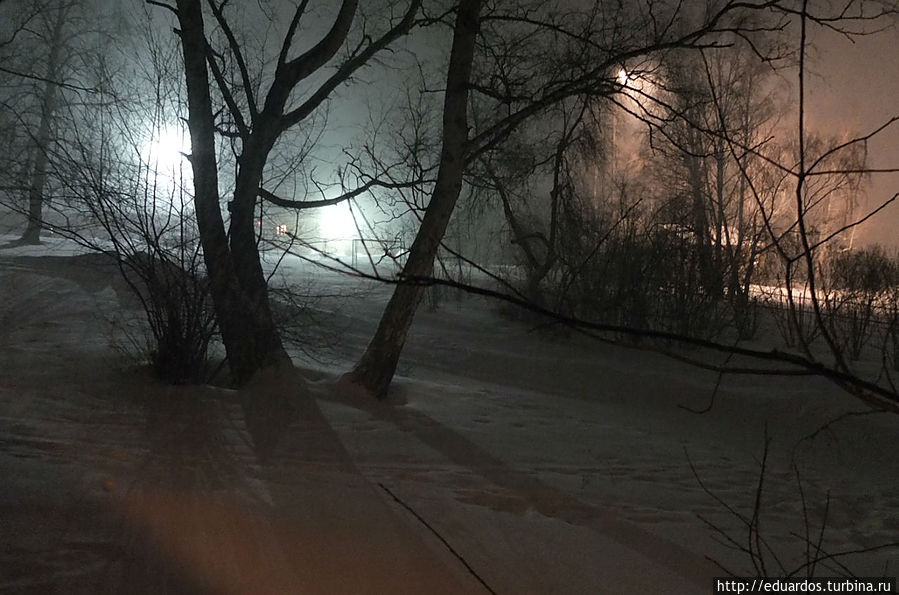 Наперекор весенней непогоде, ...