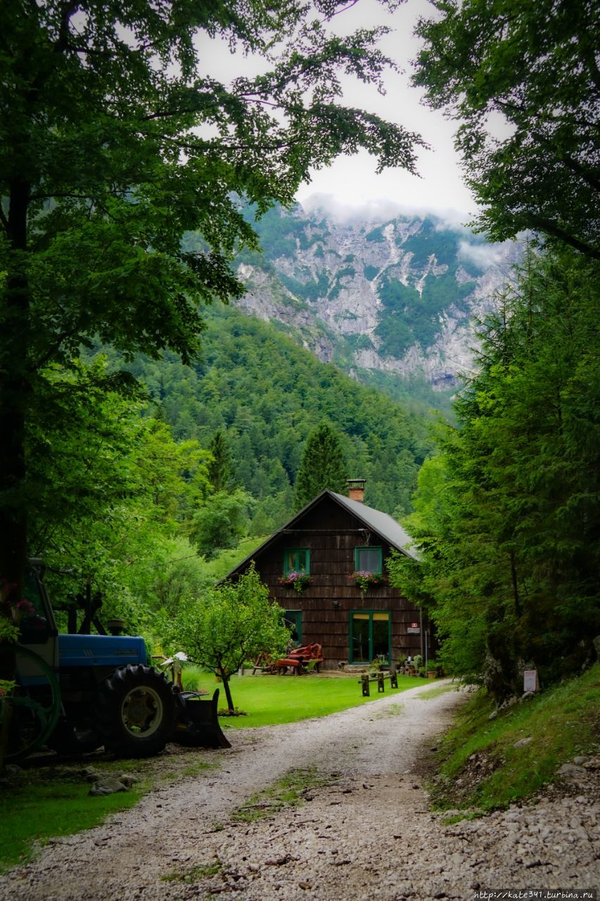 Словения. Пасмурная Велика Планина и Камник Камник, Словения