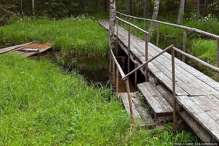 Охотничья заимка. Мостик через ручей у беседки.