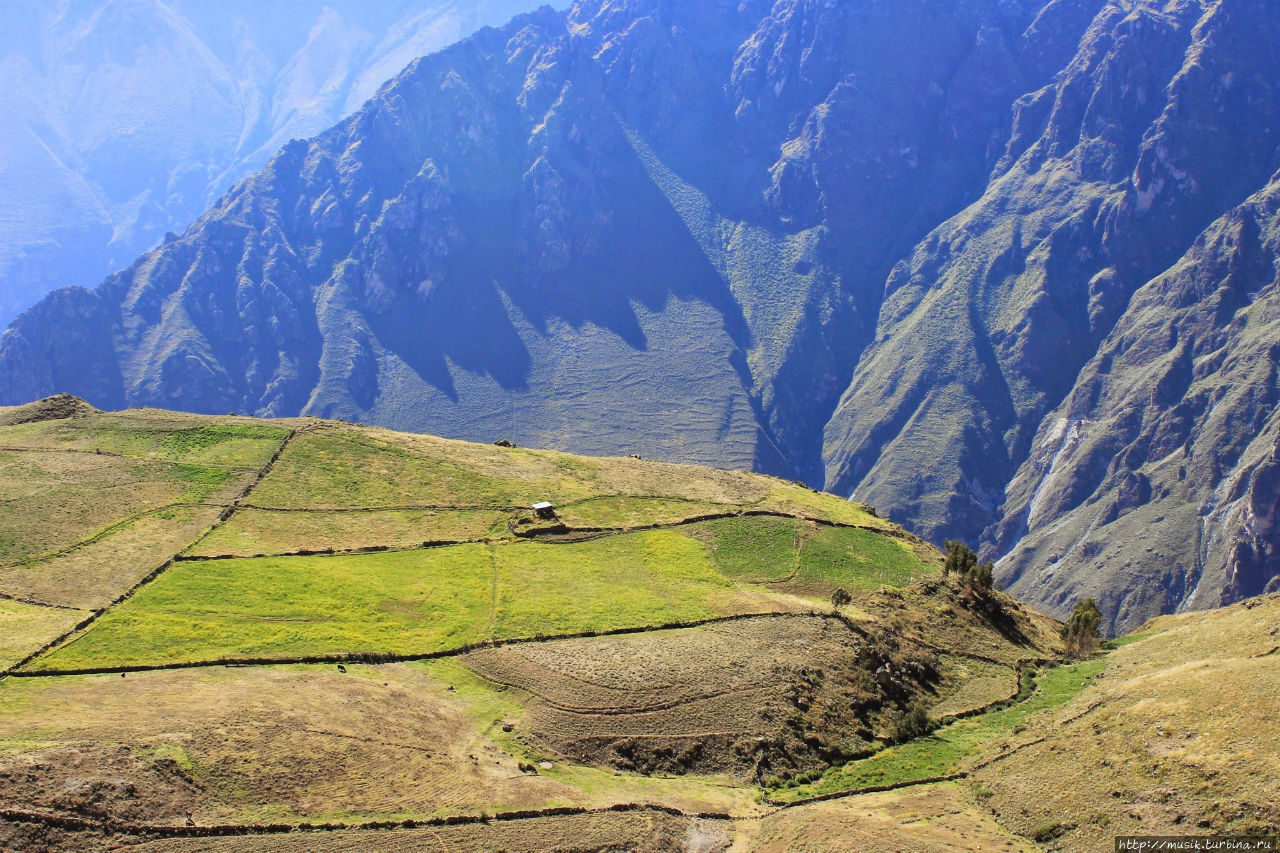 Трехдневный поход в каньон Колка (Colca). День первый Чивай, Перу