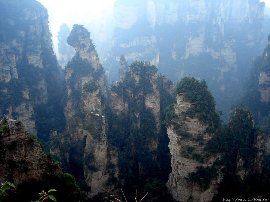 Тяньцзышань (горы Сына Неба) Чжанцзяцзе Национальный Лесной Парк (Парк Аватар), Китай