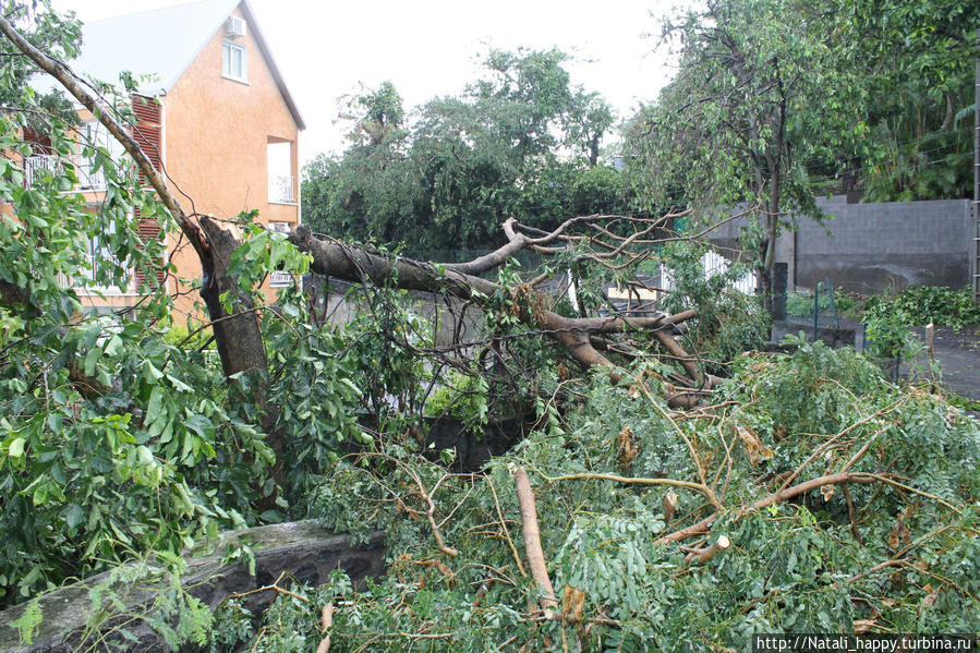 Последствия стихии Сен-Дени, Реюньон